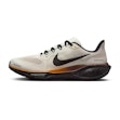 Nike Pegasus 41 Heren Multi
