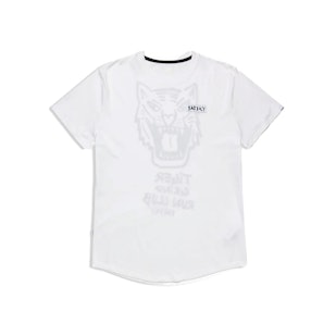 Main image showing a product in the gallery