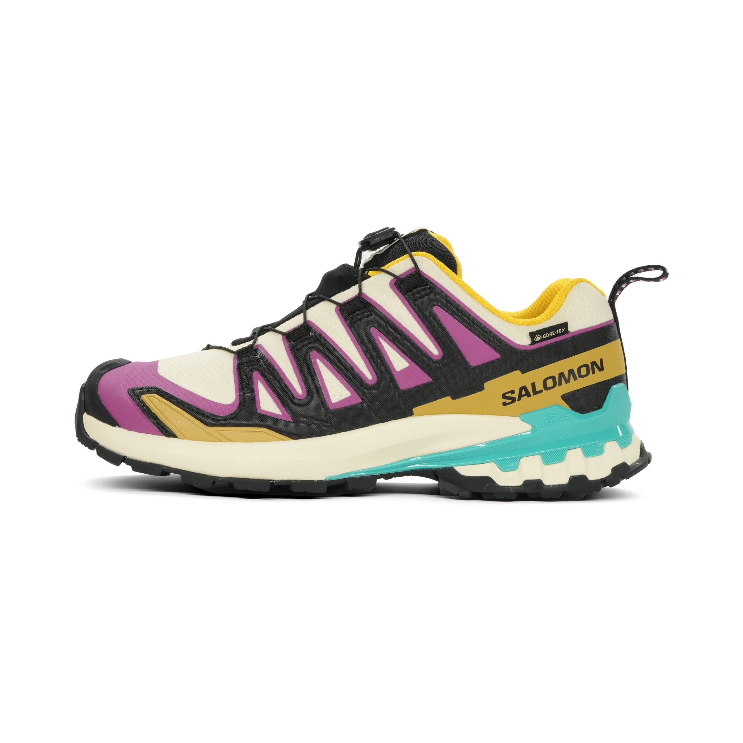 Salomon XA Pro 3D V9 GTX Heren