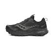 Saucony Ride TR2 GTX Dames Zwart
