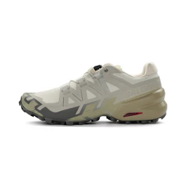Salomon Speedcross 6