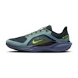 Nike Pegasus 41 GTX Heren Zwart