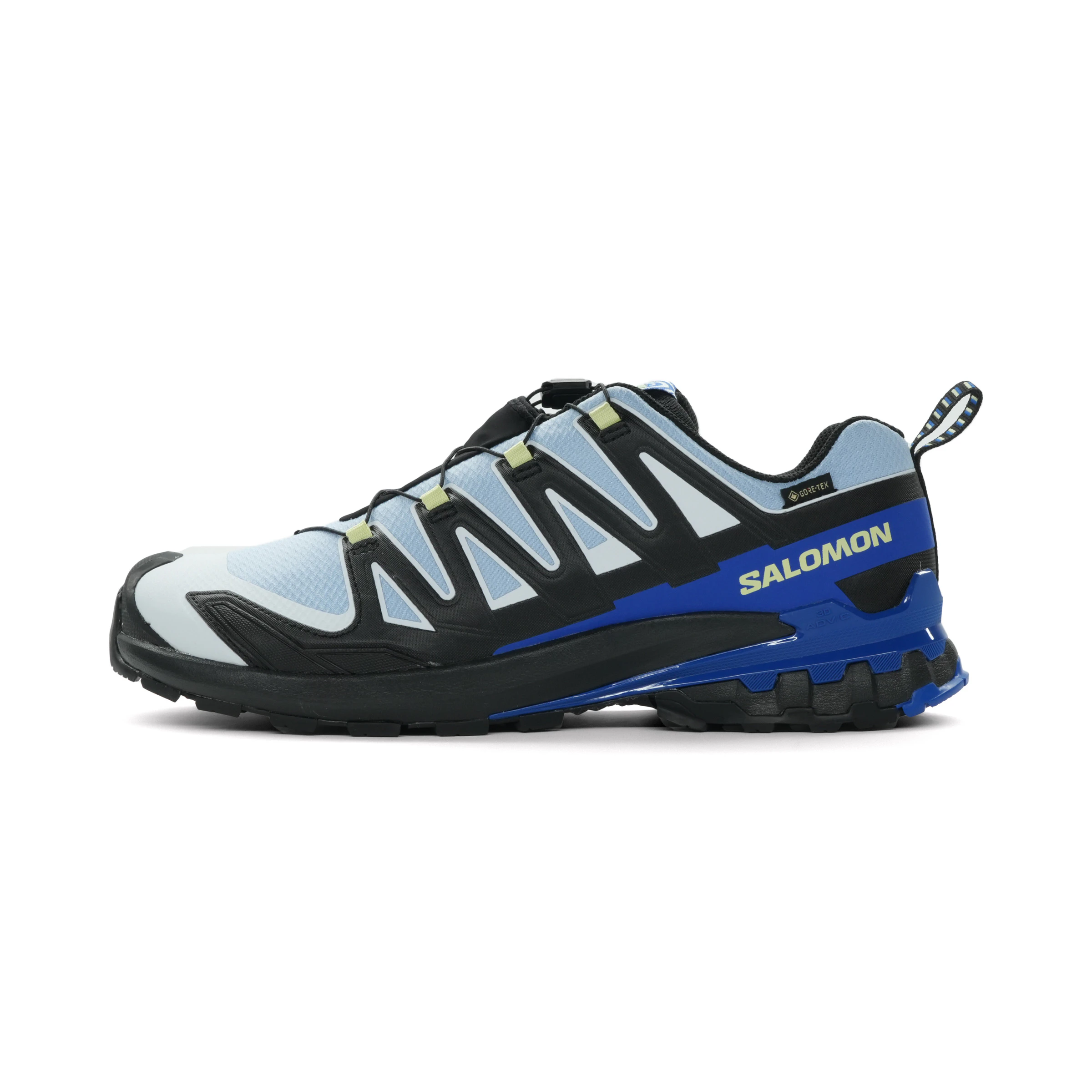 Salomon XA Pro 3D V9 GTX Icon Heren hardloopschoen