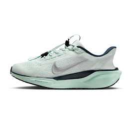 Nike Pegasus EasyOn