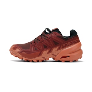 Salomon Speedcross 6 GTX Dames Salomon Speedcross 6 GTX Dames