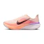 Nike Pegasus 42 Dames Multi