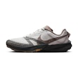 Nike Terra Kiger 10 heren Grijs