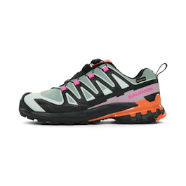 Salomon XA Pro 3D 9 GTX bij All4running