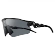 Nike ACG Vista Peak PH Sunglasses Unisex Zwart