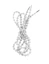 Xtenex Sportveters 75 cm - White Wit