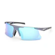 adidas Eyewear Dunamis Bi Heren Blauw
