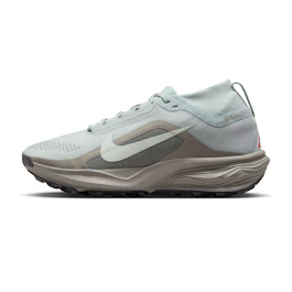 Nike Acg Pegasus Trail GTX bij All4running