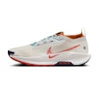 Nike Pegasus Trail 5 GTX Heren Multi