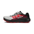 Salomon Alphaglide GTX Heren Grijs