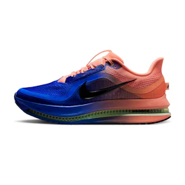 Nike Pegasus Premium bij All4running