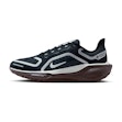 Nike Pegasus 41 GTX Dames Zwart