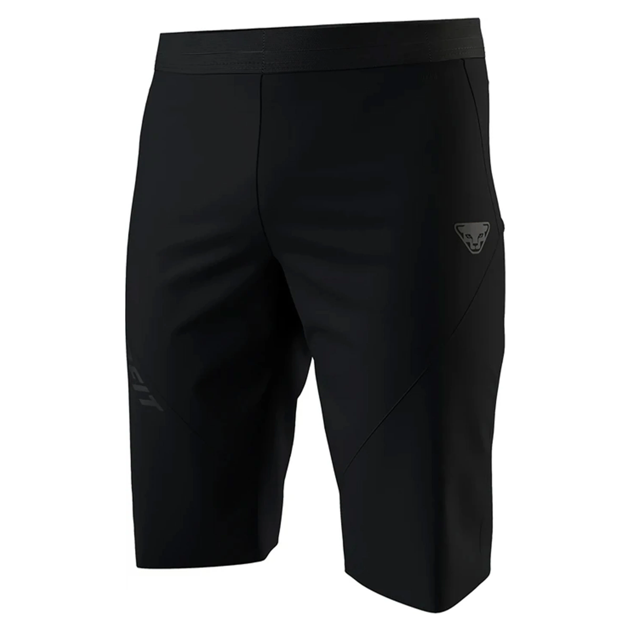 Dynafit Alpine Waterproof Overpants Unisex