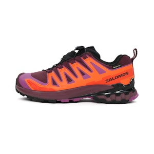 Salomon XA Pro 3D V9 GTX Dames Salomon XA Pro 3D V9 GTX Dames
