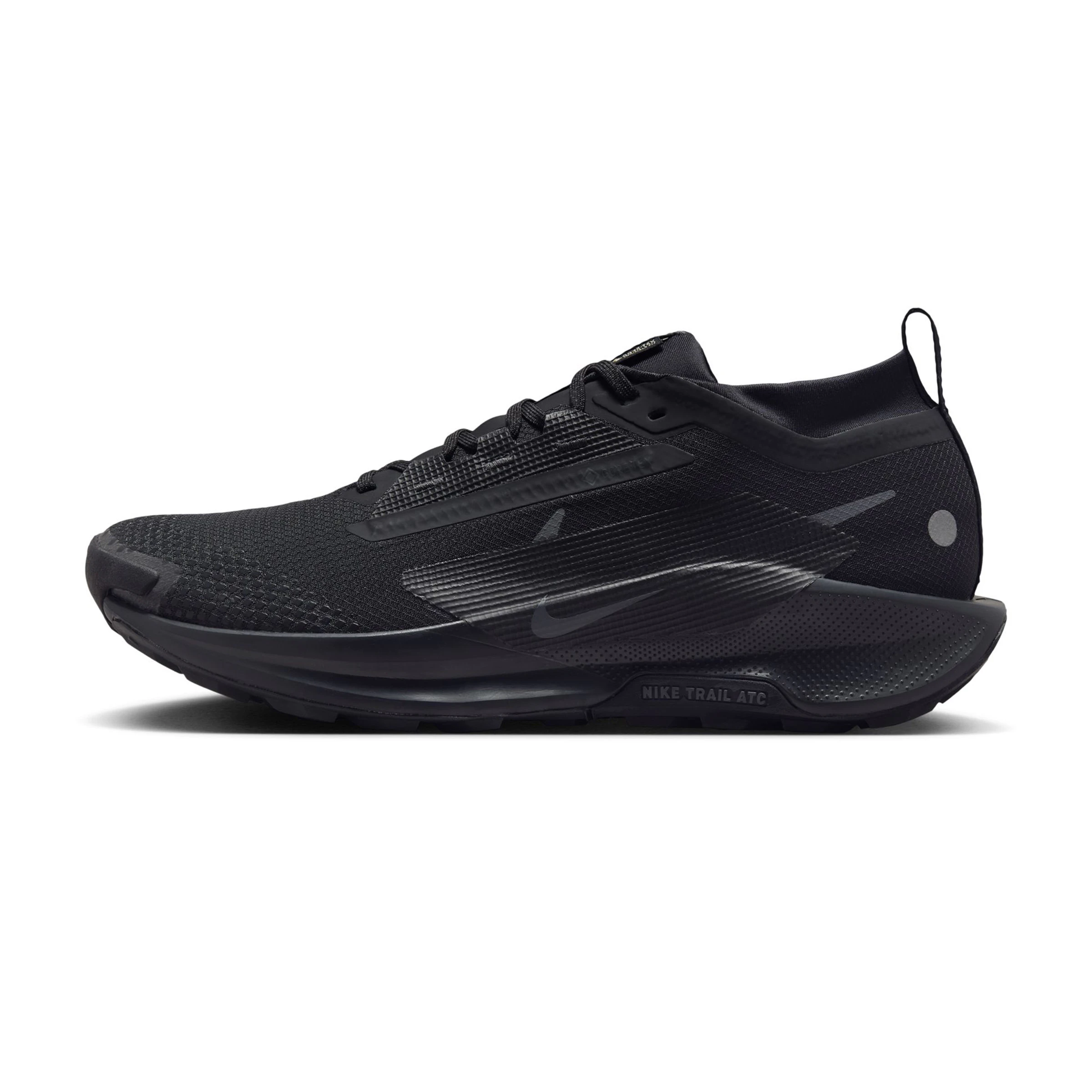 Nike Pegasus Trail 5 GTX Heren