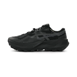 ASICS Trabuco 14 GTX bij All4running