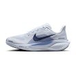 Nike Pegasus 41 Dames Blauw