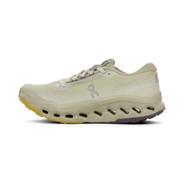 On Cloudsurfer Trail 2 WP bij All4running