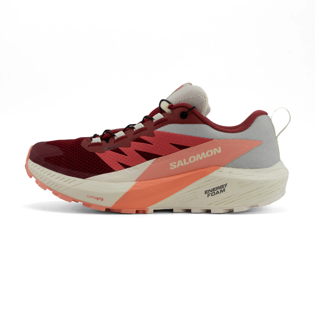 Salomon Sense Ride 5 GTX Dames