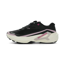 Salomon Genesis 2 GTX bij All4running
