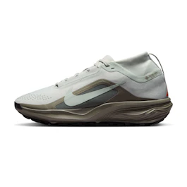 Nike Acg Pegasus Trail GTX bij All4running