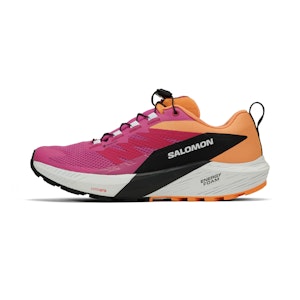 Salomon Sense Ride 5 GTX Dames Salomon Sense Ride 5 GTX Dames