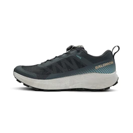 Salomon Vision