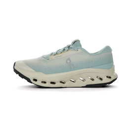 On Cloudsurfer Trail 2 WP bij All4running