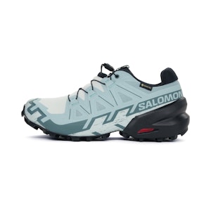 Salomon Speedcross 6 GTX Dames Salomon Speedcross 6 GTX Dames
