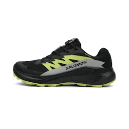 Salomon Alphaglide GTX