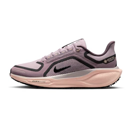 Nike Pegasus 41 GTX bij All4running