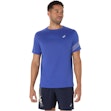 ASICS Icon T-shirt Heren Blauw