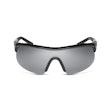 Nike Show X1 Sunglasses Zwart