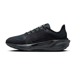Nike Pegasus 41 GTX bij All4running