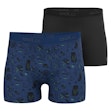 Odlo Active F-Dry Eco Graphic Boxer 2-Pack Heren Multi
