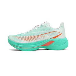 Salomon Spectur 2 bij All4running