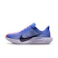 Nike Pegasus Plus Dames Blauw