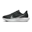 Nike Pegasus Plus Dames Zwart