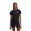 On Core-T Dames Zwart