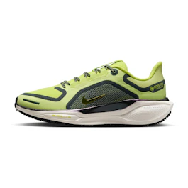 Nike Pegasus 41 GTX bij All4running