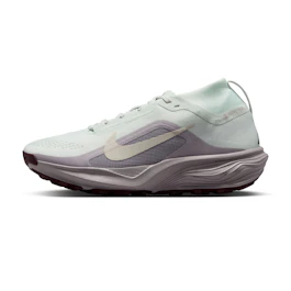 Nike Acg Pegasus Trail GTX bij All4running