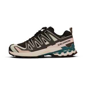 Salomon XA Pro 3D v9 GTX Dames Salomon XA Pro 3D v9 GTX Dames