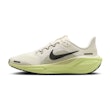 Nike Pegasus 40 Kinderen Multi