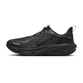 Nike Pegasus 42 GTX