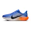 Nike Pegasus Plus Heren Blauw