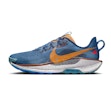Nike Pegasus Trail 5 heren Blauw